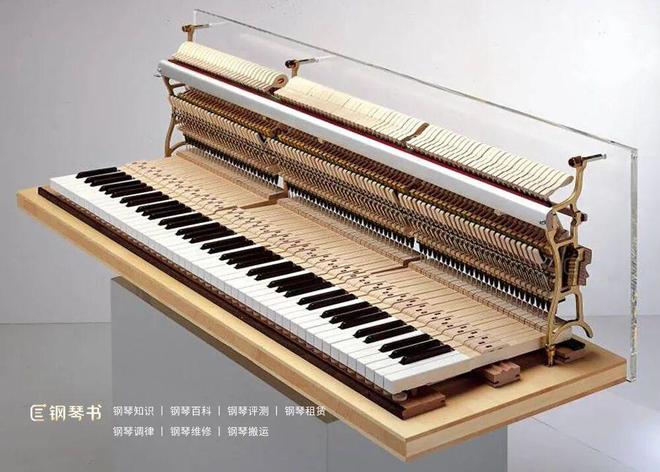 会影响音质和性能吗?开元棋牌钢琴不调音(图4) 会影响音质和性能吗?开元棋牌钢琴不调音(图4)